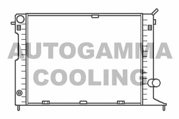 Autogamma 102241 Радіатор охолодження двигуна 102241: Купити в Україні - Добра ціна на EXIST.UA!