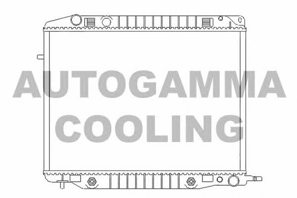 Autogamma 102246 Радіатор охолодження двигуна 102246: Купити в Україні - Добра ціна на EXIST.UA!