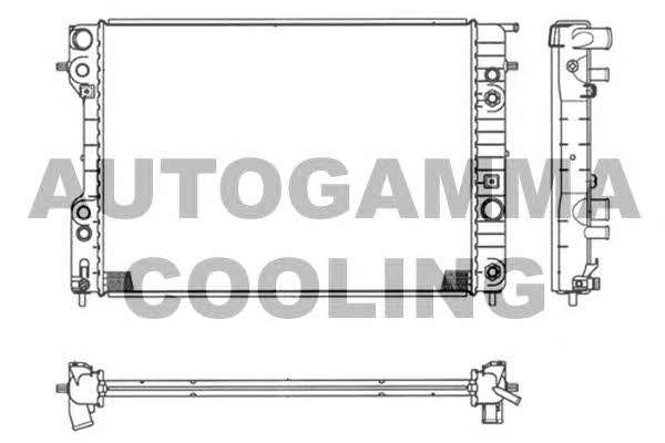 Autogamma 102254 Радіатор охолодження двигуна 102254: Купити в Україні - Добра ціна на EXIST.UA!