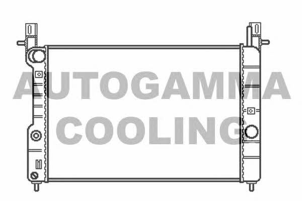 Autogamma 102255 Радіатор охолодження двигуна 102255: Купити в Україні - Добра ціна на EXIST.UA!