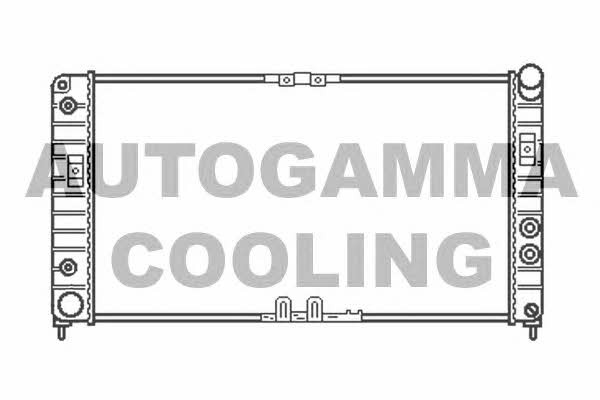 Autogamma 102264 Радіатор охолодження двигуна 102264: Купити в Україні - Добра ціна на EXIST.UA!