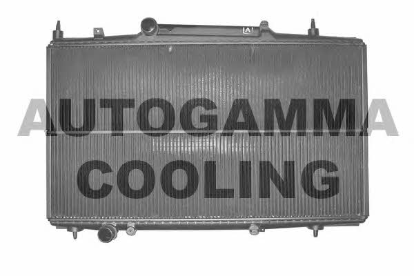 Autogamma 102275 Радіатор охолодження двигуна 102275: Купити в Україні - Добра ціна на EXIST.UA!