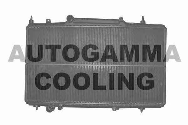 Autogamma 102276 Радіатор охолодження двигуна 102276: Купити в Україні - Добра ціна на EXIST.UA!