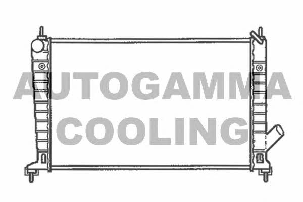 Autogamma 102301 Радіатор охолодження двигуна 102301: Купити в Україні - Добра ціна на EXIST.UA!