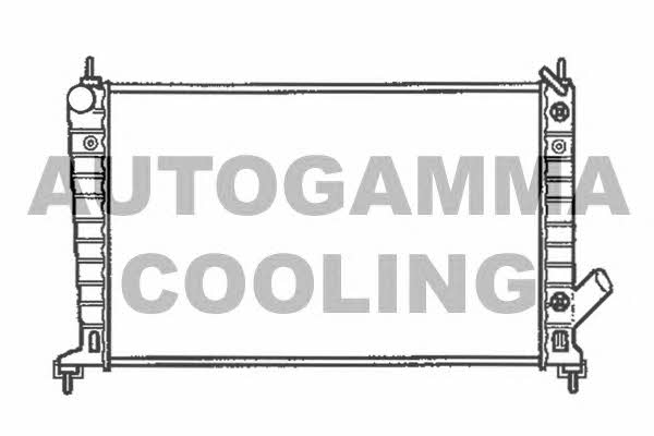Autogamma 102302 Радіатор охолодження двигуна 102302: Купити в Україні - Добра ціна на EXIST.UA!