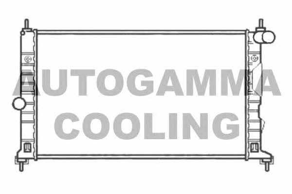 Autogamma 102303 Радіатор охолодження двигуна 102303: Купити в Україні - Добра ціна на EXIST.UA!