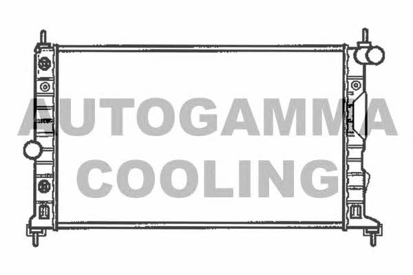 Autogamma 102304 Радіатор охолодження двигуна 102304: Купити в Україні - Добра ціна на EXIST.UA!
