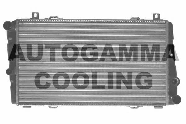 Autogamma 102306 Радіатор охолодження двигуна 102306: Купити в Україні - Добра ціна на EXIST.UA!