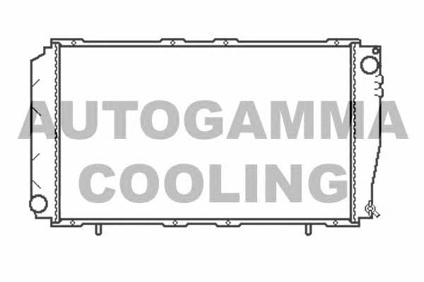 Autogamma 102310 Радіатор охолодження двигуна 102310: Приваблива ціна - Купити в Україні на EXIST.UA!