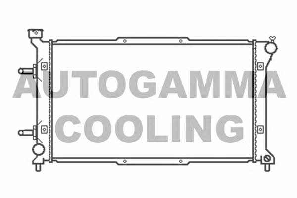 Autogamma 102316 Радіатор охолодження двигуна 102316: Купити в Україні - Добра ціна на EXIST.UA!
