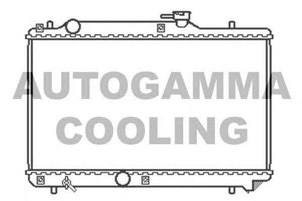 Autogamma 102322 Радіатор охолодження двигуна 102322: Приваблива ціна - Купити в Україні на EXIST.UA!