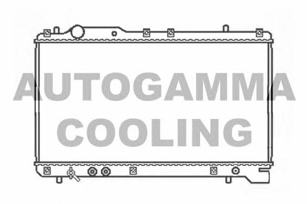 Autogamma 102328 Радіатор охолодження двигуна 102328: Купити в Україні - Добра ціна на EXIST.UA!