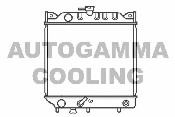 Autogamma 102329 Радіатор охолодження двигуна 102329: Купити в Україні - Добра ціна на EXIST.UA!