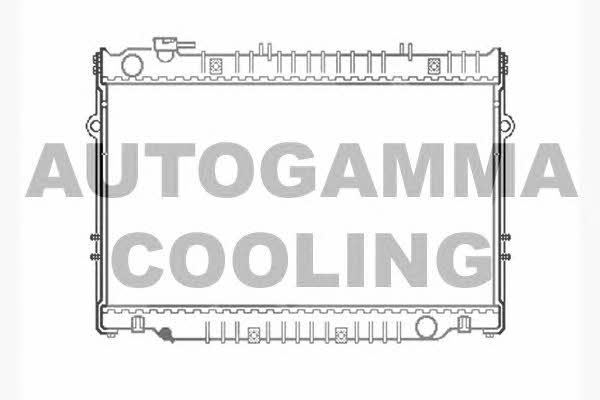 Autogamma 102366 Радіатор охолодження двигуна 102366: Купити в Україні - Добра ціна на EXIST.UA!