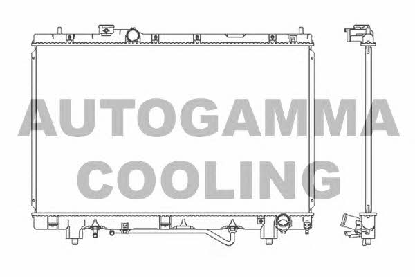 Autogamma 102372 Радіатор охолодження двигуна 102372: Купити в Україні - Добра ціна на EXIST.UA!