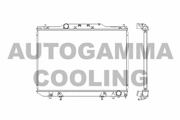 Autogamma 102373 Радіатор охолодження двигуна 102373: Купити в Україні - Добра ціна на EXIST.UA!