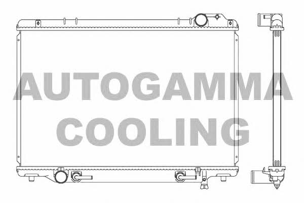 Autogamma 102374 Радіатор охолодження двигуна 102374: Купити в Україні - Добра ціна на EXIST.UA!