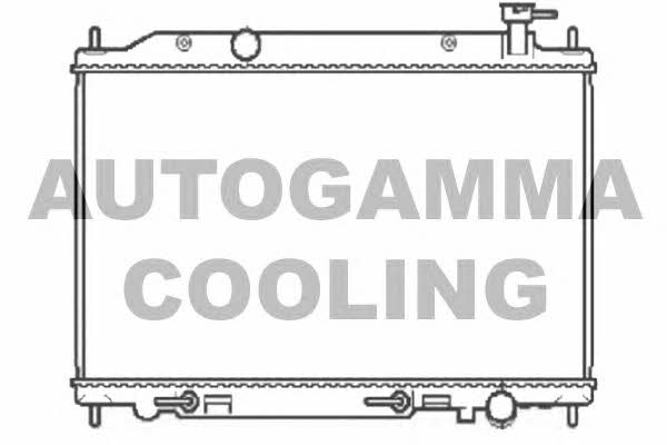 Autogamma 104860 Радіатор охолодження двигуна 104860: Купити в Україні - Добра ціна на EXIST.UA!