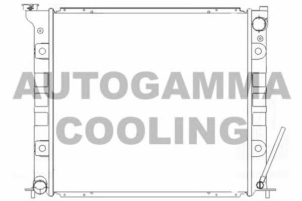 Autogamma 105118 Радіатор охолодження двигуна 105118: Купити в Україні - Добра ціна на EXIST.UA!