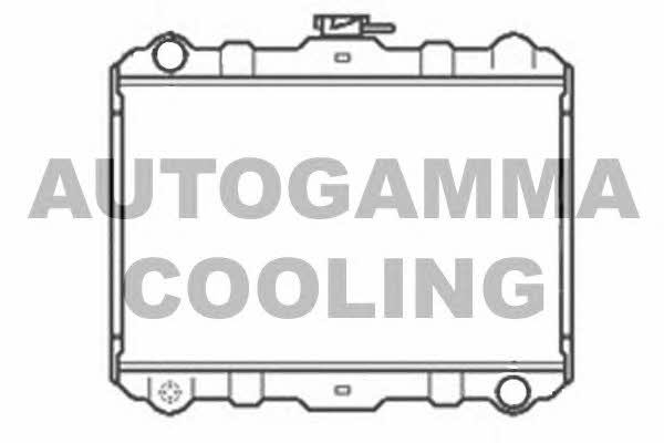 Autogamma 102533 Радіатор охолодження двигуна 102533: Купити в Україні - Добра ціна на EXIST.UA!