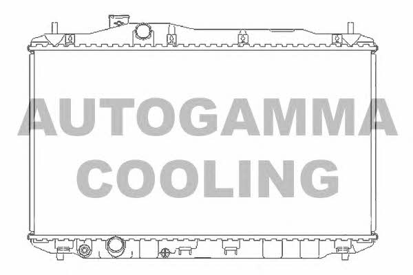 Autogamma 105135 Радіатор охолодження двигуна 105135: Купити в Україні - Добра ціна на EXIST.UA!