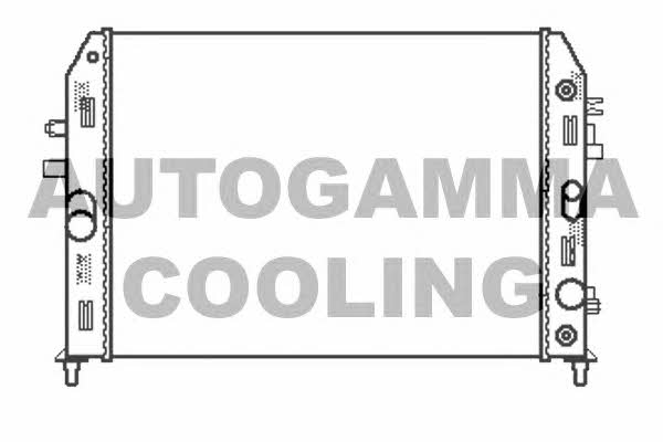 Autogamma 105168 Радіатор охолодження двигуна 105168: Купити в Україні - Добра ціна на EXIST.UA!