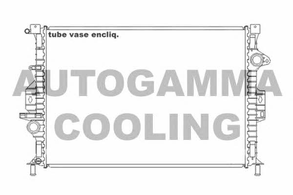 Autogamma 105206 Радіатор охолодження двигуна 105206: Купити в Україні - Добра ціна на EXIST.UA!