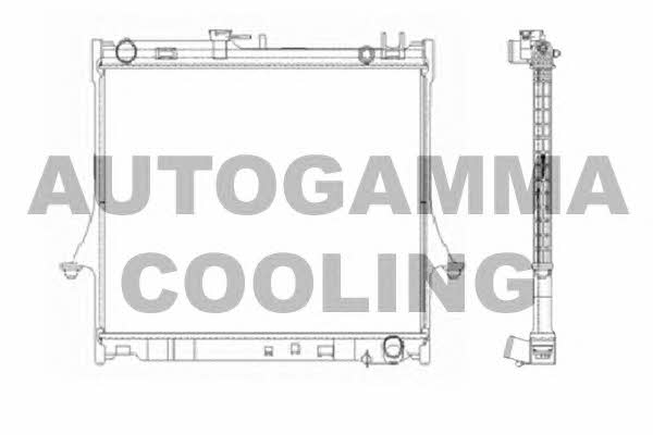 Autogamma 105207 Радіатор охолодження двигуна 105207: Купити в Україні - Добра ціна на EXIST.UA!
