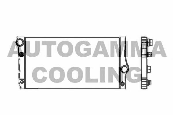 Autogamma 105310 Радіатор охолодження двигуна 105310: Купити в Україні - Добра ціна на EXIST.UA!