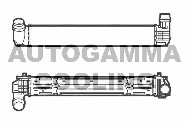 Autogamma 105339 Інтеркулер 105339: Купити в Україні - Добра ціна на EXIST.UA!