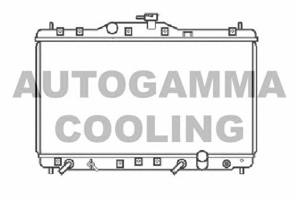 Autogamma 102856 Радіатор охолодження двигуна 102856: Купити в Україні - Добра ціна на EXIST.UA!