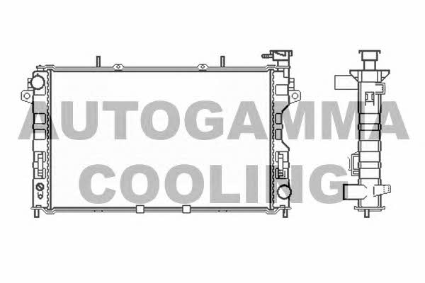 Autogamma 102862 Радіатор охолодження двигуна 102862: Купити в Україні - Добра ціна на EXIST.UA!