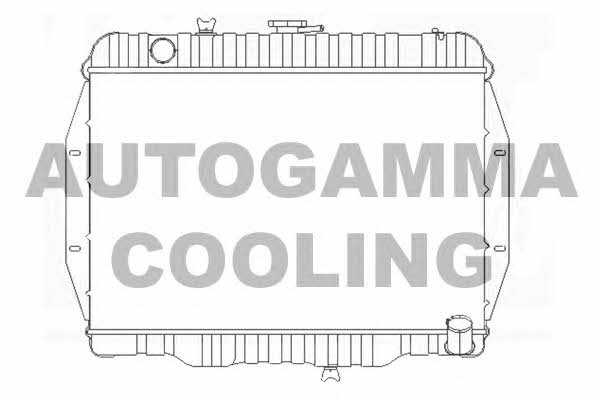 Autogamma 102902 Радіатор охолодження двигуна 102902: Купити в Україні - Добра ціна на EXIST.UA!