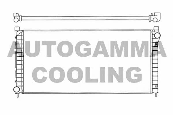 Autogamma 102938 Радіатор охолодження двигуна 102938: Купити в Україні - Добра ціна на EXIST.UA!