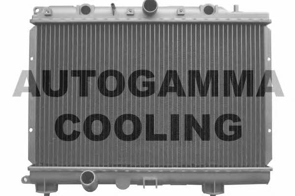 Autogamma 102943 Радіатор охолодження двигуна 102943: Купити в Україні - Добра ціна на EXIST.UA!