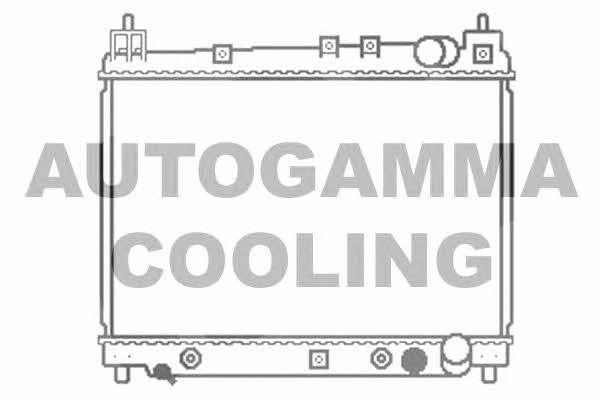 Autogamma 102957 Радіатор охолодження двигуна 102957: Купити в Україні - Добра ціна на EXIST.UA!