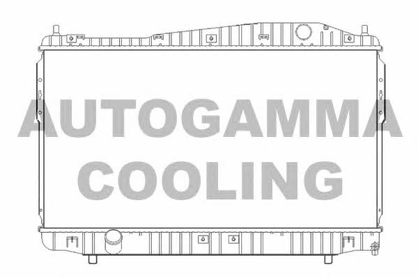 Autogamma 105391 Радіатор охолодження двигуна 105391: Приваблива ціна - Купити в Україні на EXIST.UA!