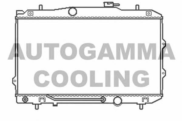 Autogamma 105412 Радіатор охолодження двигуна 105412: Купити в Україні - Добра ціна на EXIST.UA!