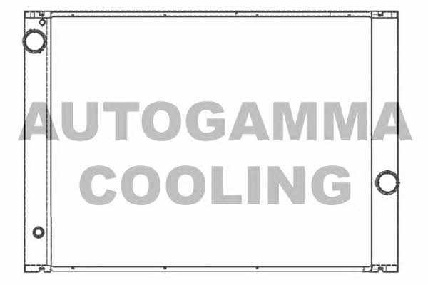 Autogamma 105531 Радіатор охолодження двигуна 105531: Купити в Україні - Добра ціна на EXIST.UA!