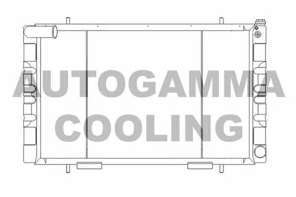 Autogamma 105566 Радіатор охолодження двигуна 105566: Купити в Україні - Добра ціна на EXIST.UA!