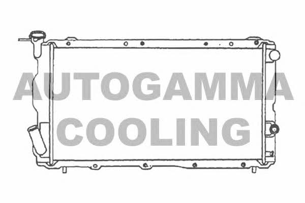 Autogamma 105568 Радіатор охолодження двигуна 105568: Купити в Україні - Добра ціна на EXIST.UA!