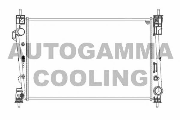 Autogamma 105602 Радіатор охолодження двигуна 105602: Купити в Україні - Добра ціна на EXIST.UA!