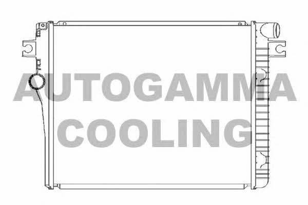 Autogamma 105620 Радіатор охолодження двигуна 105620: Купити в Україні - Добра ціна на EXIST.UA!