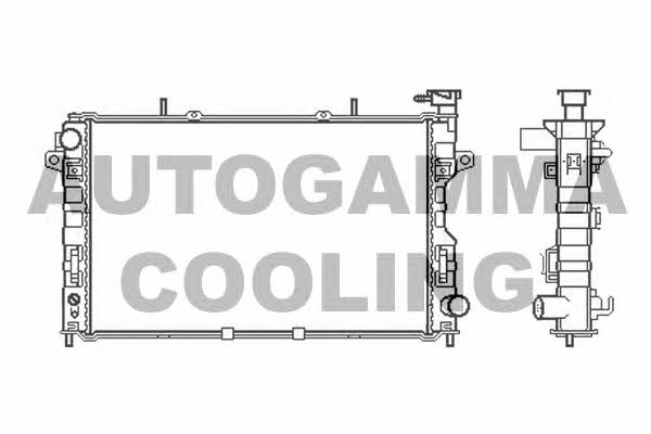 Autogamma 105645 Радіатор охолодження двигуна 105645: Купити в Україні - Добра ціна на EXIST.UA!