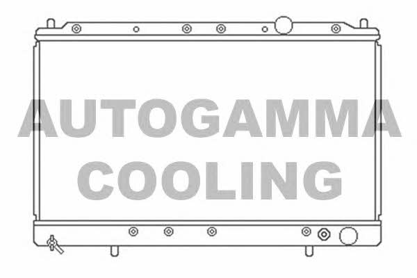 Autogamma 103162 Радіатор охолодження двигуна 103162: Приваблива ціна - Купити в Україні на EXIST.UA!
