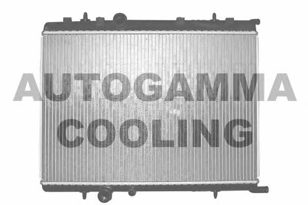 Autogamma 103172 Радіатор охолодження двигуна 103172: Купити в Україні - Добра ціна на EXIST.UA!