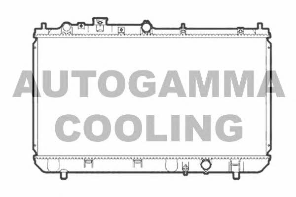 Autogamma 103187 Радіатор охолодження двигуна 103187: Купити в Україні - Добра ціна на EXIST.UA!