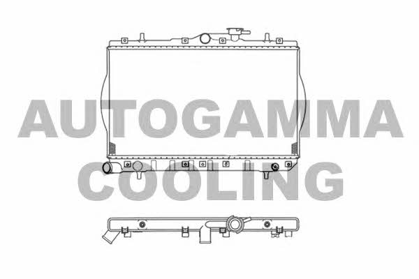 Autogamma 103212 Радіатор охолодження двигуна 103212: Купити в Україні - Добра ціна на EXIST.UA!