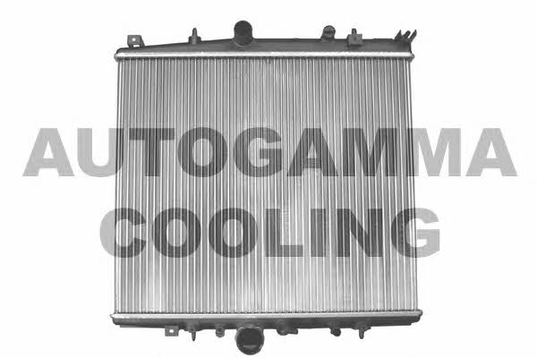 Autogamma 103221 Радіатор охолодження двигуна 103221: Купити в Україні - Добра ціна на EXIST.UA!