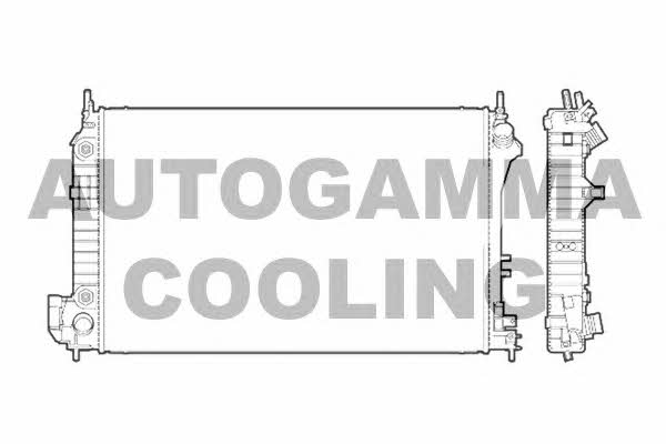 Autogamma 103238 Радіатор охолодження двигуна 103238: Купити в Україні - Добра ціна на EXIST.UA!